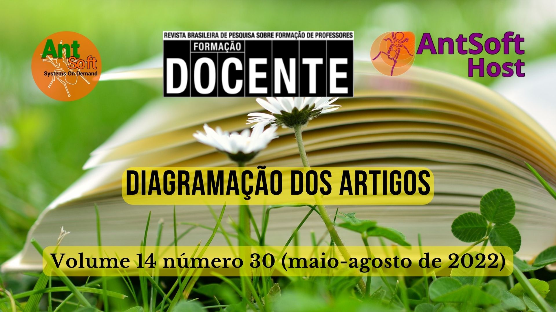 Diagramação dos artigos da Revista Brasileira de Formação Docente